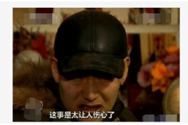 贡井融资清欠服务